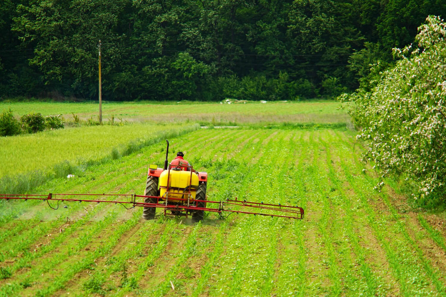 campo gramado com maquina agricola descompactação do solo